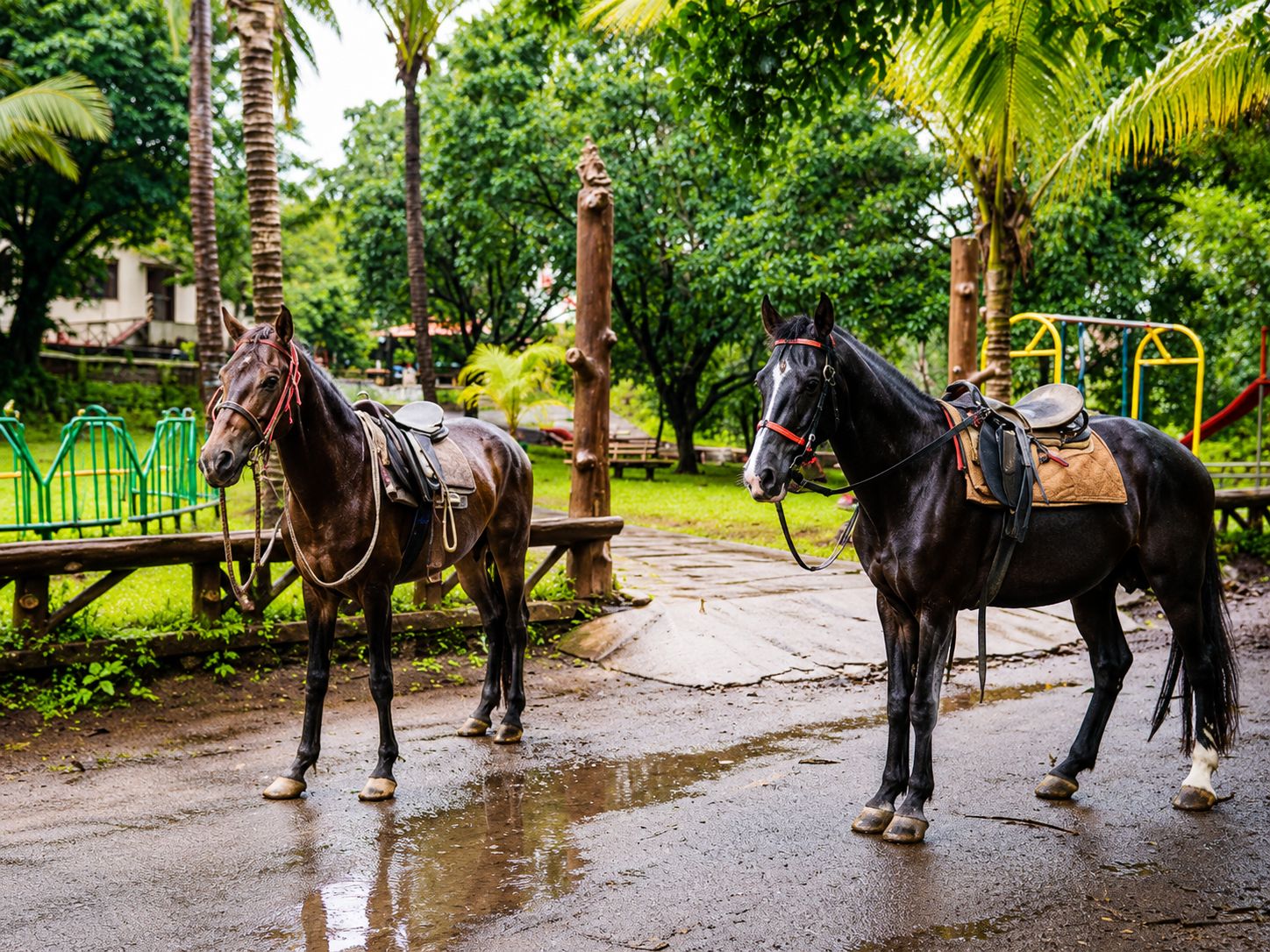 horse-riding horse-riding
