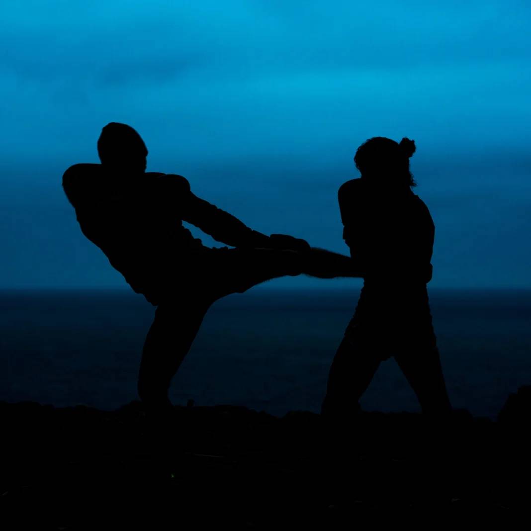 self-defense self-defense
